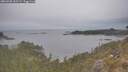 ./images/calvert/foggy-cove/20260508/foggy-cove20260508_152501M.jpg