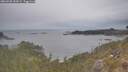 ./images/calvert/foggy-cove/20260508/foggy-cove20260508_153001M.jpg