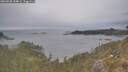 ./images/calvert/foggy-cove/20260508/foggy-cove20260508_154001M.jpg