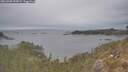 ./images/calvert/foggy-cove/20260508/foggy-cove20260508_154501M.jpg