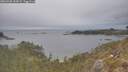 ./images/calvert/foggy-cove/20260508/foggy-cove20260508_155001M.jpg