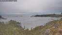 ./images/calvert/foggy-cove/20260508/foggy-cove20260508_155501M.jpg