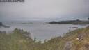 ./images/calvert/foggy-cove/20260508/foggy-cove20260508_160002M.jpg