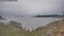 ./images/calvert/foggy-cove/20260508/foggy-cove20260508_160501M.jpg
