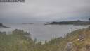 ./images/calvert/foggy-cove/20260508/foggy-cove20260508_161001M.jpg