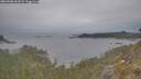 ./images/calvert/foggy-cove/20260508/foggy-cove20260508_161501M.jpg