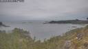 ./images/calvert/foggy-cove/20260508/foggy-cove20260508_162001M.jpg