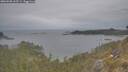 ./images/calvert/foggy-cove/20260508/foggy-cove20260508_162501M.jpg