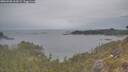 ./images/calvert/foggy-cove/20260508/foggy-cove20260508_163001M.jpg