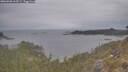 ./images/calvert/foggy-cove/20260508/foggy-cove20260508_163501M.jpg