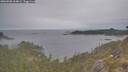 ./images/calvert/foggy-cove/20260508/foggy-cove20260508_164002M.jpg