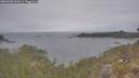 ./images/calvert/foggy-cove/20260508/foggy-cove20260508_164501M.jpg