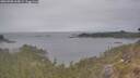 ./images/calvert/foggy-cove/20260508/foggy-cove20260508_165001M.jpg