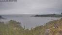 ./images/calvert/foggy-cove/20260508/foggy-cove20260508_165501M.jpg