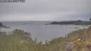 ./images/calvert/foggy-cove/20260508/foggy-cove20260508_170001M.jpg