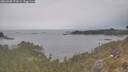 ./images/calvert/foggy-cove/20260508/foggy-cove20260508_171001M.jpg