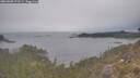 ./images/calvert/foggy-cove/20260508/foggy-cove20260508_171501M.jpg