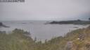 ./images/calvert/foggy-cove/20260508/foggy-cove20260508_172001M.jpg