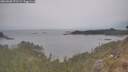 ./images/calvert/foggy-cove/20260508/foggy-cove20260508_172501M.jpg