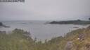 ./images/calvert/foggy-cove/20260508/foggy-cove20260508_173001M.jpg