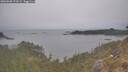 ./images/calvert/foggy-cove/20260508/foggy-cove20260508_173502M.jpg