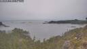 ./images/calvert/foggy-cove/20260508/foggy-cove20260508_174001M.jpg