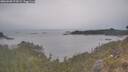./images/calvert/foggy-cove/20260508/foggy-cove20260508_174501M.jpg