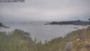 ./images/calvert/foggy-cove/20260508/foggy-cove20260508_175001M.jpg