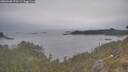 ./images/calvert/foggy-cove/20260508/foggy-cove20260508_175501M.jpg