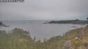 ./images/calvert/foggy-cove/20260508/foggy-cove20260508_181001M.jpg