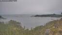 ./images/calvert/foggy-cove/20260508/foggy-cove20260508_182001M.jpg