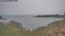 ./images/calvert/foggy-cove/20260508/foggy-cove20260508_182501M.jpg
