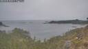 ./images/calvert/foggy-cove/20260508/foggy-cove20260508_183002M.jpg
