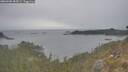 ./images/calvert/foggy-cove/20260508/foggy-cove20260508_185001M.jpg