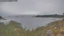 ./images/calvert/foggy-cove/20260508/foggy-cove20260508_185502M.jpg