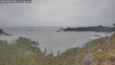 ./images/calvert/foggy-cove/20260508/foggy-cove20260508_190501M.jpg