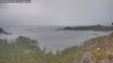 ./images/calvert/foggy-cove/20260508/foggy-cove20260508_191001M.jpg