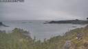 ./images/calvert/foggy-cove/20260508/foggy-cove20260508_192001M.jpg