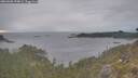 ./images/calvert/foggy-cove/20260508/foggy-cove20260508_194001M.jpg