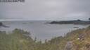 ./images/calvert/foggy-cove/20260508/foggy-cove20260508_195001M.jpg