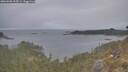 ./images/calvert/foggy-cove/20260508/foggy-cove20260508_195501M.jpg