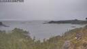 ./images/calvert/foggy-cove/20260508/foggy-cove20260508_200001M.jpg