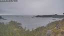 ./images/calvert/foggy-cove/20260508/foggy-cove20260508_201001M.jpg