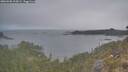 ./images/calvert/foggy-cove/20260508/foggy-cove20260508_205001M.jpg