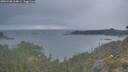 ./images/calvert/foggy-cove/20260508/foggy-cove20260508_210001M.jpg