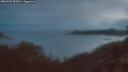 ./images/calvert/foggy-cove/20260509/foggy-cove20260509_052001M.jpg