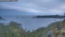 ./images/calvert/foggy-cove/20260509/foggy-cove20260509_054501M.jpg