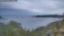 ./images/calvert/foggy-cove/20260509/foggy-cove20260509_055001M.jpg