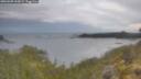 ./images/calvert/foggy-cove/20260509/foggy-cove20260509_060002M.jpg