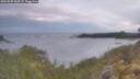 ./images/calvert/foggy-cove/20260509/foggy-cove20260509_060501M.jpg